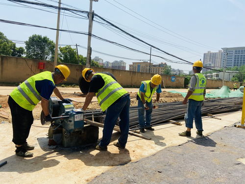 白沙洲的這條路有望年底全部翻新,還將新增非機動車道和人行道